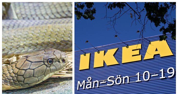 Ikea, Skansen, Kobra